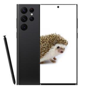 삼성전자 갤럭시 S22 울트라 256GB SK 기기변경 SM-S908N
