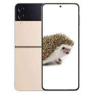 삼성전자 갤럭시 Z 플립4 256GB SK 기기변경 SM-F721N