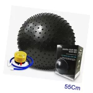 프로모릭스 기타 발펌프포함 참숯 마시지 대나무 짐볼 65Cm
