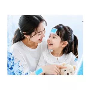 KC인증 1팩(2매입) 붙이는 아이스 쿨패치 쿨팩 시원한패치 여름용품 쿨링패치