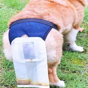외출 산책 강아지 기저귀 노견 수거봉투 팬티 배설물봉투