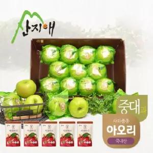 산지애 씻어나온 초록사과 2.7kg1box+실속사과주스5팩 봉지 세척사과 아오리사과