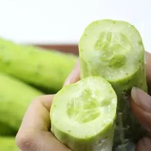 수분의 여왕 백 오이 2kg 380432