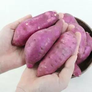 [NS홈쇼핑][팔도농장] 세척 꿀 밤고구마 (중)3kg[36099915]