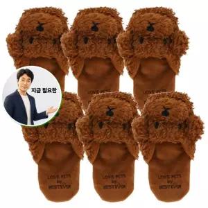 지금 필요한 반려견삑삑이 푸들 6P 슬리퍼 바스락 강아지 삑삑이 터그