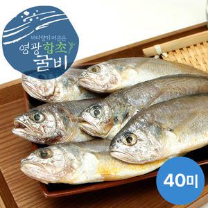 [연애]영광법성포 함초진공굴비 40미(19~21cm내외 마리당70g)