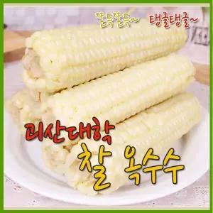 [수확후바로삶은] 괴산 대학찰옥수수 30개(3개씩포장)