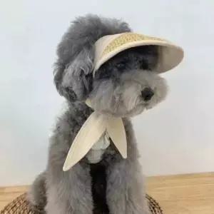 [르에센3rd] 반려견/반려묘 여름 썬캡 모자 강아지 고양이 애견 외출 유치원