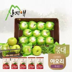 산지애 씻어나온 초록사과 2.7kg1box+실속사과주스5팩 / 봉지 세척사과  아오리사과