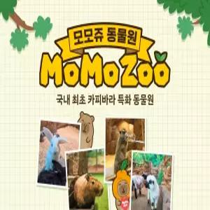 [제주] 모모쥬 (동물원/키즈/이색체험/실내/야외/아이와함께/연인과함께/가족과함께/자유이용권/투어패스/프리패스)