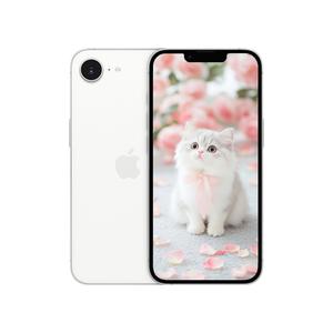 Apple 아이폰 17e 256GB KT 기기변경