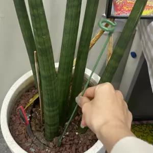 화초 화분 식물지지대 37cm