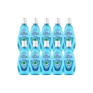 10개엘지 페리오 가글 쿨 760ml