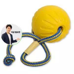 지금 필요한 강아지토이 판타스틱 마크 애견장난감 폼볼 로프