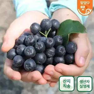 보은두레농장 2026 아로니아 생과 5kg 10kg