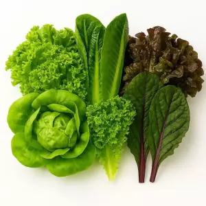 유러피안 샐러드 야채 1kg