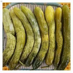 반찬 오이장아찌 오이절임 오이지 홍천 밥반찬 강원도 삼둔농원 1kg