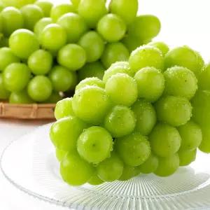달콤함이 입안가득, 껍질째 먹는 샤인머스켓 2kg (3수)