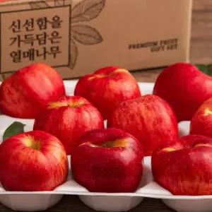 열매나무 햇 거창 못난이 홍로사과 2.5kg+2.5kg