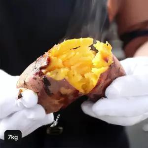 26년 햇 특등급 해남 호박고구마 3.5kg+3.5kg (총 7kg)