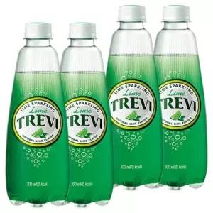 (20펫x2박스) 라임 롯데 40PET 300ml x 트레비