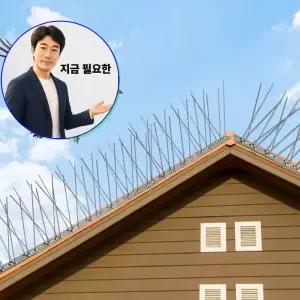 지금 필요한 버드스파이크 조류퇴치 비둘기 12set 블럭 스텐