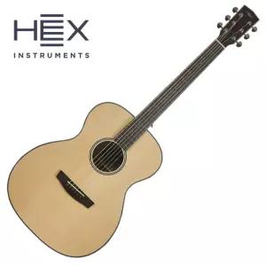 [스쿨뮤직]HEX Hive F100G / 헥스 통기타 (유광)