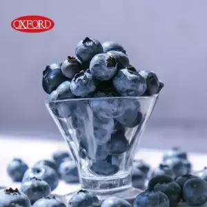 [OXFORD] 캐나다 직수입 옥스포드 야생블루베리 340g×5팩