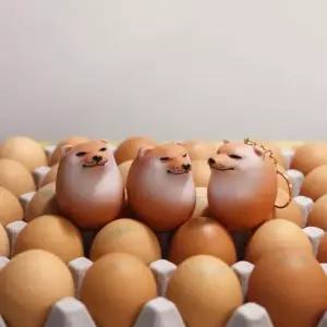 시바계란 시바견 계란 시바 달걀 시바이누 키링 피규어 3종