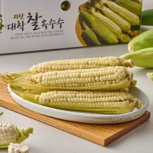 산지직송 괴산 대학찰옥수수 30개 특품(17-22cm내외)