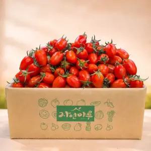 부여 대추방울토마토 5kg (3~4번과)