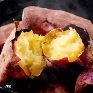 다모 해남 특등급 밤고구마 3.5kg+3.5kg(총 7kg)