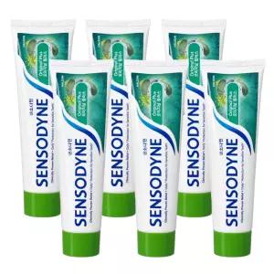 센소다인 오리지날 플러스 치약 100g x 6개