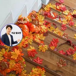 지금 필요한 모형 인조 대용량 조화 50pcs 나뭇잎 가을장식 단풍 낙엽