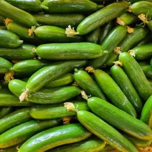 [파인밀] 미니 스낵 오이 1kg 2kg 3kg 국내산 아삭 신선