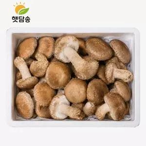 [햇담송]무농약 햇담송화 가정형 정품중급 500g 1kg 농협에 납품하는 송이향 고기식감 송고버섯