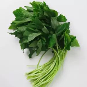 국내산 참나물 4kg 1박스