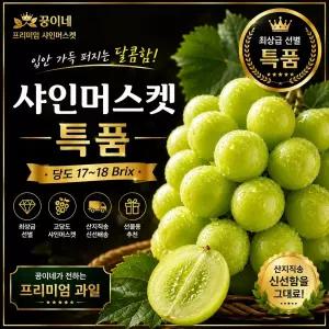국산 샤인머스캣 17~18브릭스 고당도 청포도 특등급 선물용