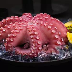 국내산 손질 문어 1.3kg(130g×10팩)