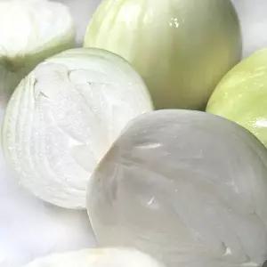 10kg 신선한 수입 깐양파 특대사이즈 신선 대용량 급식 업소용 중국산 재료 특 8532151