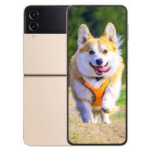 삼성전자 갤럭시 Z 플립4 256GB SM-F721N KT 기기변경