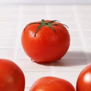 청과33번 토마토 10kg 5번 쥬스용 384675