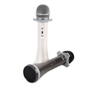 EZ-MIC 전문 강의용 휴대용 무선 이지마이크 스피커일체형