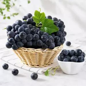 [이베따]새콤달콤 햇 캠벨 포도 3kg(특품)