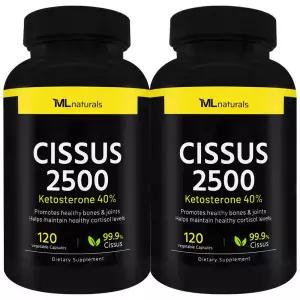2병 마이라이프 시서스 Cissus 2500 120 야