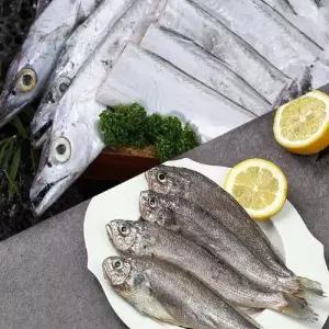 [해담]제주 갈치 160g * 15팩 (45토막) + 굴비 700g * 1팩 (10마리)