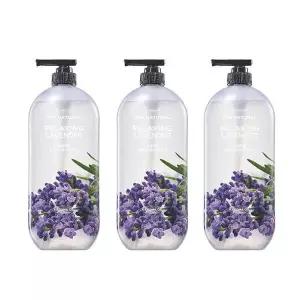 [셀러허브]온더바디 더내추럴 바디워시 라벤더 900g 3개 (S18740882)