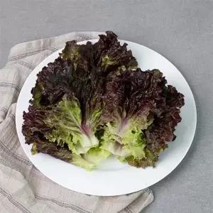 자연맛남 GAP인증 농협선별 적상추 1kg