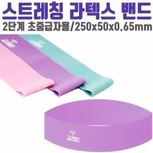 더바디시크릿 라텍스 OZ 밴드 0.65mm 홈트레이닝 헬스 [BCT36478]