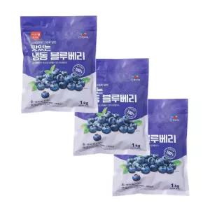 이츠웰 냉동블루베리 1kg 3개